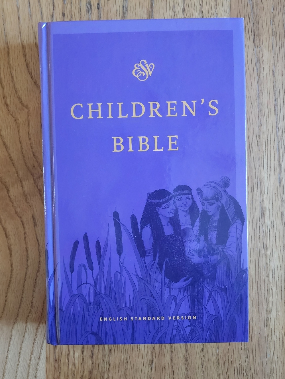 English Standard Version Children's Bible Illustrated Hardcover 2014